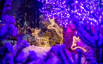 Follow the Lights in Connecticut: Most Epic Light Shows and Displays